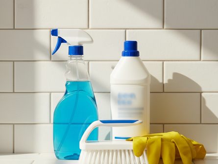 흰색 타일 벽면에 분무기와 청소용 솔, 락스 용기, 고무장갑이 놓여있는 모습