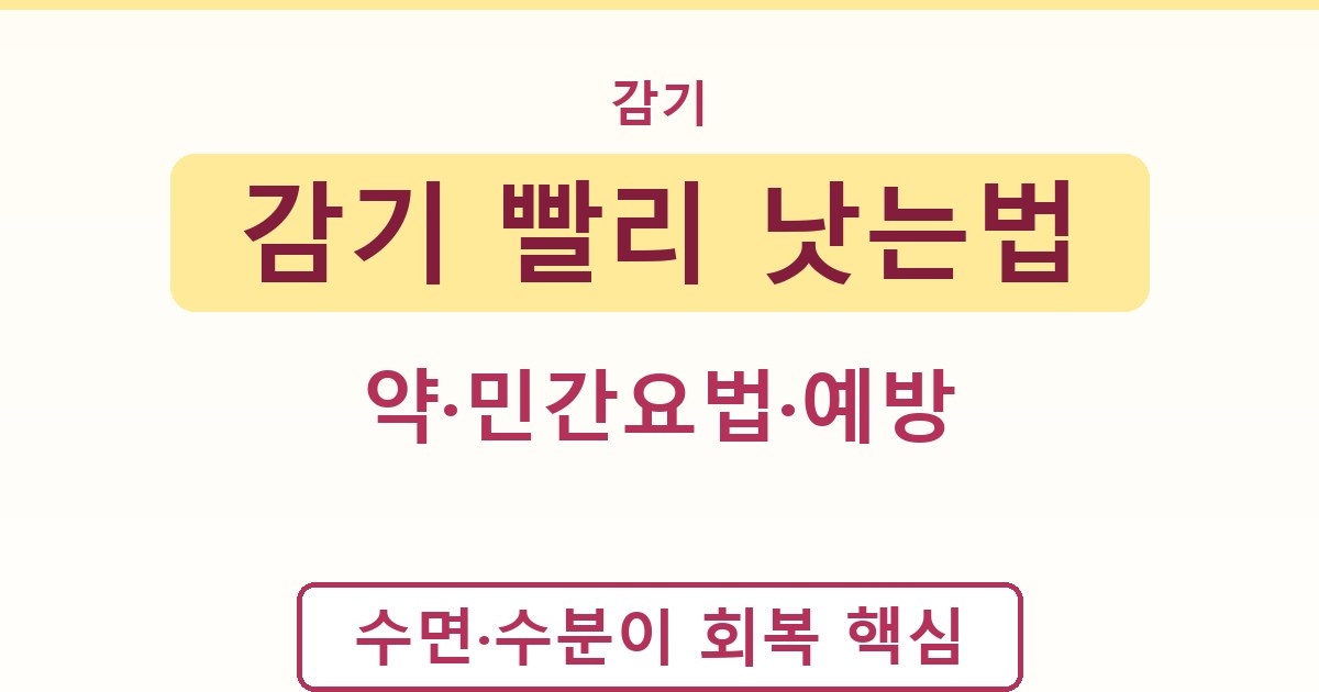 감기 빨리 낫는법 - 약·민간요법·예방 가이드