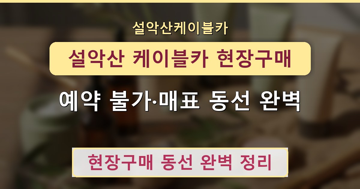 설악산 케이블카 현장구매 - 예약 불가·매표 동선 완벽 안내